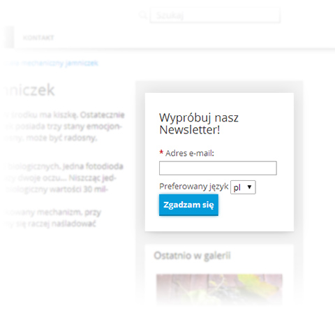 Newsletter widget title=